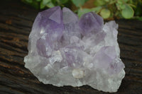 Natural Jacaranda Amethyst Clusters  x 3 From Mumbwa, Zambia - Toprock Gemstones and Minerals 