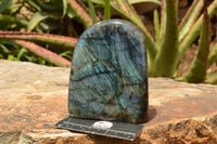 Polished Labradorite Standing Free Form With A Full Face Flash x 1 From Tulear, Madagascar - TopRock