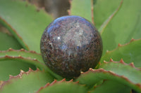 Polished Red Pyrope Garnet Matrix Spheres  x 6 From Madagascar