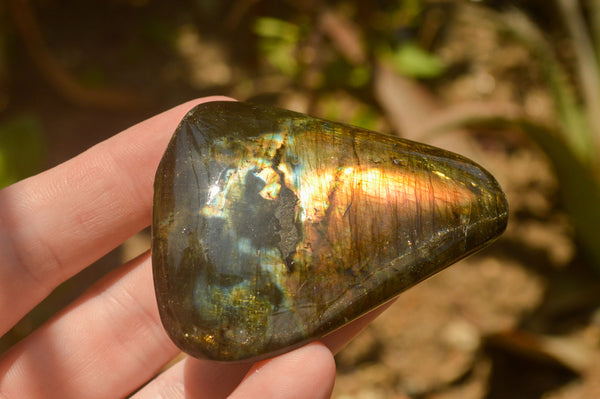 Polished Flashy Labradorite Palm Stones  x 24 From Tulear, Madagascar - TopRock