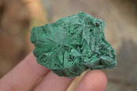 Natural Chatoyant Silky Malachite Specimens  x 13 From Kasompe, Congo - Toprock Gemstones and Minerals 