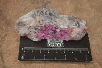 Natural Salrose Cobaltion Dolomite Specimens  x 12 From Kakanda, Congo - TopRock