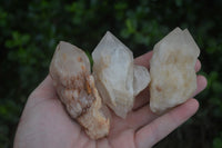 Natural Single Pineapple Candle Quartz Crystals  x 12 From Antsirabe, Madagascar - Toprock Gemstones and Minerals 