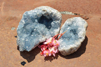 Natural Blue Celestite Geode Specimens  x 2 From Sakoany, Madagascar - TopRock