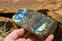 Polished Labradorite Standing Free Forms With Intense Blue & Gold Flash x 2 From Sakoany, Madagascar - TopRock