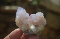 Natural Spirit Ametrine Quartz Crystals x 20 From Boekenhouthoek, South Africa