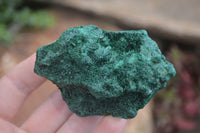 Natural Chatoyant Silky Malachite Specimens  x 6 From Kasompe, Congo - Toprock Gemstones and Minerals 