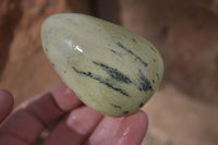 Polished Spotted Leopard Stone Free Forms  x 4 From Zimbabwe