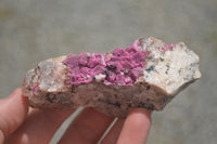 Natural Salrose Cobaltion Dolomite Specimens  x 12 From Kakanda, Congo - TopRock