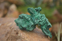 Natural Chatoyant Silky Malachite Specimens  x 13 From Kasompe, Congo - Toprock Gemstones and Minerals 