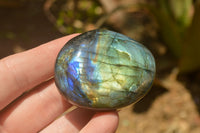 Polished Flashy Labradorite Palm Stones  x 24 From Tulear, Madagascar - TopRock