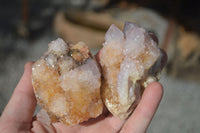 Natural Spirit Amethyst / Ametrine Quartz Clusters  x 6 From Boekenhouthoek, South Africa - Toprock Gemstones and Minerals 