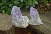 Natural Single Jacaranda Amethyst Crystals  x 12 From Zambia - Toprock Gemstones and Minerals 