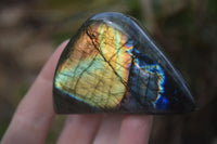 Polished Labradorite Standing Free Forms  x 6 From Madagascar