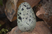 Polished Spotted Leopard Stone Free Forms  x 4 From Zimbabwe