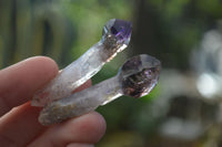 Natural Smokey Amethyst Quartz Crystals  x 35 From Chiredzi, Zimbabwe