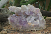 Natural Jacaranda Amethyst Cluster x 1 From Mumbwa, Zambia - TopRock