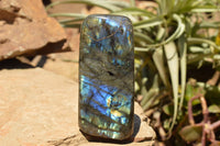 Polished Labradorite Standing Free Forms With Intense Blue & Gold Flash x 2 From Sakoany, Madagascar - TopRock