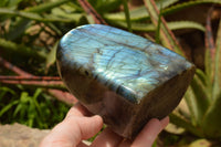 Polished Labradorite Standing Free Form With A Full Face Flash x 1 From Tulear, Madagascar - TopRock