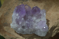 Natural Jacaranda Amethyst Clusters  x 3 From Mumbwa, Zambia - Toprock Gemstones and Minerals 