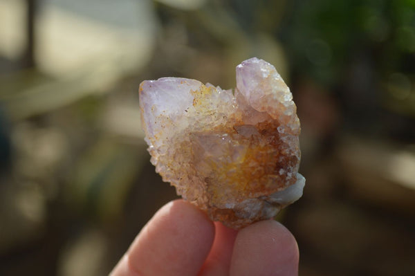 Natural Spirit Ametrine Quartz Crystals x 20 From Boekenhouthoek, South Africa