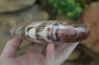 Polished Extra Large Petrified Red Podocarpus Wood Heart  x 1 From Mahajanga, Madagascar - Toprock Gemstones and Minerals 