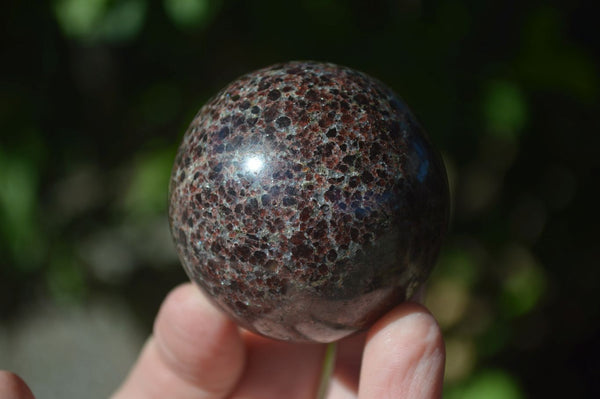 Polished Red Pyrope Garnet Matrix Spheres  x 6 From Madagascar