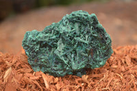 Natural Chatoyant Silky Malachite Specimens  x 13 From Kasompe, Congo - Toprock Gemstones and Minerals 