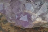 Natural Jacaranda Amethyst Cluster x 1 From Mumbwa, Zambia - TopRock