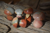 Polished Mini Polychrome / Picasso Jasper Mushrooms  x 20 From Mahajanga, Madagascar