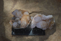 Natural Spirit Amethyst / Ametrine Quartz Clusters  x 6 From Boekenhouthoek, South Africa - Toprock Gemstones and Minerals 