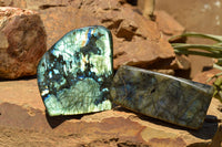 Polished Labradorite Standing Free Forms With Intense Blue & Gold Flash x 2 From Sakoany, Madagascar - TopRock