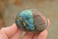 Polished Flashy Labradorite Palm Stones  x 24 From Tulear, Madagascar - TopRock