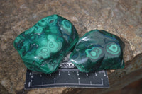 Polished Flower Malachite Free Forms  x 6 From Congo