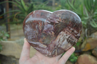 Polished Extra Large Petrified Red Podocarpus Wood Heart  x 1 From Mahajanga, Madagascar - Toprock Gemstones and Minerals 