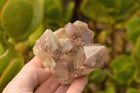 Natural Red Hematoid Phantom Quartz Clusters  x 4 From Zambia - TopRock