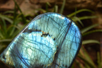 Polished Labradorite Standing Free Form With A Full Face Flash x 1 From Tulear, Madagascar - TopRock