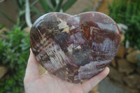 Polished Extra Large Petrified Red Podocarpus Wood Heart  x 1 From Mahajanga, Madagascar - Toprock Gemstones and Minerals 