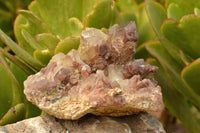 Natural Red Hematoid Phantom Quartz Clusters  x 4 From Zambia - TopRock