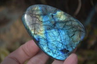 Polished Labradorite Standing Free Forms  x 6 From Madagascar