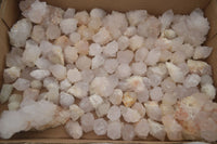 Natural White Cactus Spirit Quartz Crystals  x 3.6 Kg Lot From Boekenhouthoek, South Africa - Toprock Gemstones and Minerals 