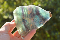 Natural Rough Watermelon Fluorite Cobbed Specimens  x 4 From Uis, Namibia - TopRock