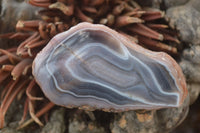 Polished River Agate Nodules  x 6 From Sashe River, Zimbabwe