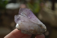 Natural Window Amethyst Crystals  x 12 From Chiredzi, Zimbabwe