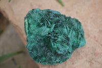 Natural Chatoyant Silky Malachite Specimens  x 6 From Kasompe, Congo - Toprock Gemstones and Minerals 