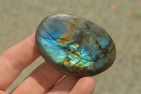 Polished Flashy Labradorite Palm Stones  x 24 From Tulear, Madagascar - TopRock