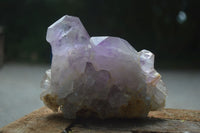 Natural Jacaranda Amethyst Clusters  x 3 From Mumbwa, Zambia - Toprock Gemstones and Minerals 