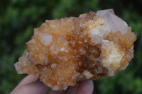 Natural Mixed Selection Of Quartz Specimens  x 6 From Southern Africa - Toprock Gemstones and Minerals 