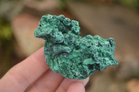 Natural Chatoyant Silky Malachite Specimens  x 13 From Kasompe, Congo - Toprock Gemstones and Minerals 