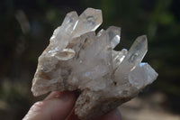 Natural Hematoid Quartz Clusters x 6 From Madagascar